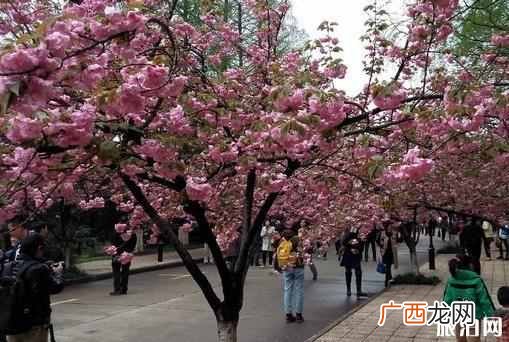 最值得去的几大景点 合肥有什么好玩的地方