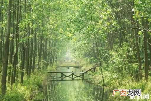 最值得去的几大景点 合肥有什么好玩的地方