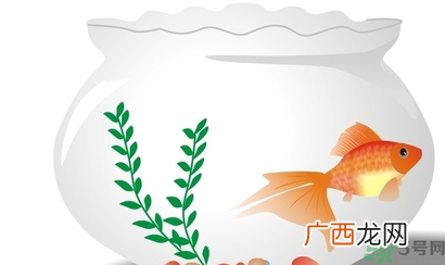 家里养鱼好吗？家里养鱼有什么讲究？