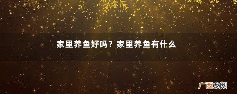 家里养鱼好吗？家里养鱼有什么讲究？