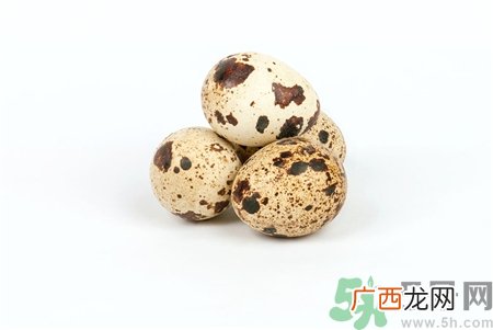 吃鹌鹑蛋有什么好处?鹌鹑蛋的功效与作用
