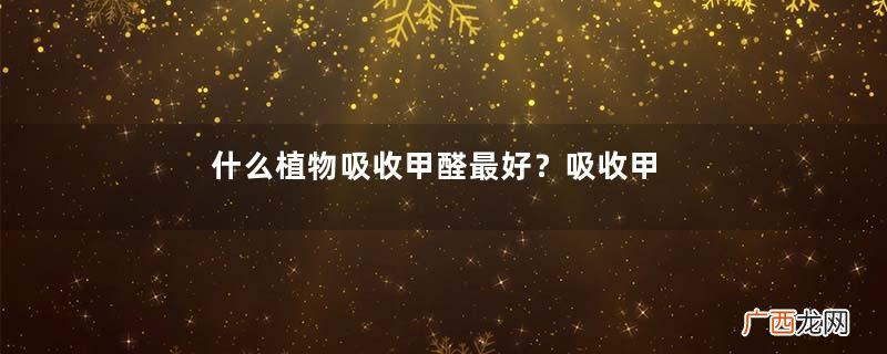 什么植物吸收甲醛最好？吸收甲醛的室内植物