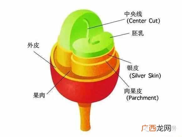 honey的中文意思是什么 honey是什么意思