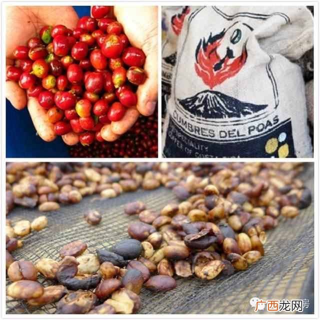 honey的中文意思是什么 honey是什么意思
