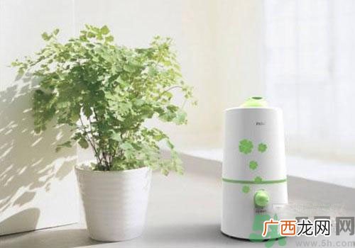 用加湿器好不好？用加湿器有什么危害？