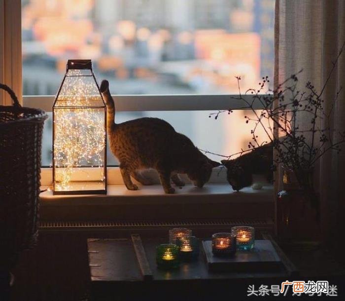 很无奈很失落的个性签名 伤感的签名心碎