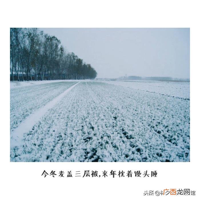 大雪｜27个唯美句子送你 描写雪的句子唯美