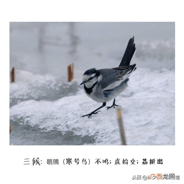 大雪｜27个唯美句子送你 描写雪的句子唯美