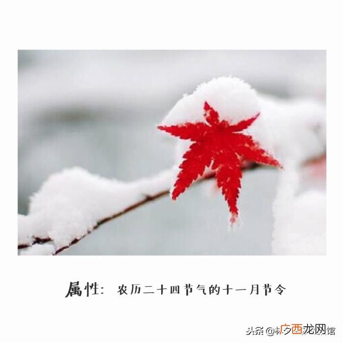 大雪｜27个唯美句子送你 描写雪的句子唯美