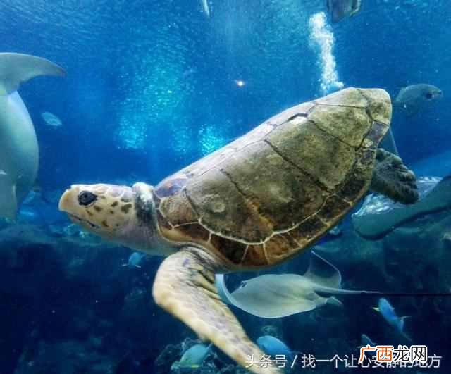长沙有什么好玩的地方（长沙最值得去玩的地方