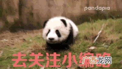 什么最赚钱最快0投资 零投资赚钱项目图片