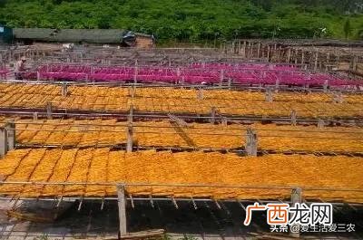 2021年农村小本投资做啥好 2021年农村什么生意最好做-