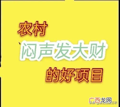 2021年农村小本投资做啥好 2021年农村什么生意最好做-