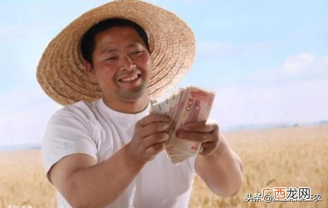 2021年农村小本投资做啥好 2021年农村什么生意最好做-