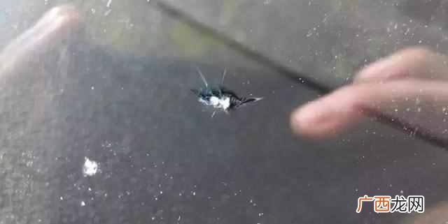 挡风玻璃出现裂痕怎么办？保护挡风玻璃教你3招
