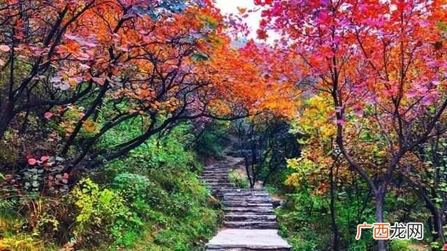 吃喝玩乐 北京坡峰岭一日游攻略