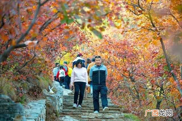 吃喝玩乐 北京坡峰岭一日游攻略
