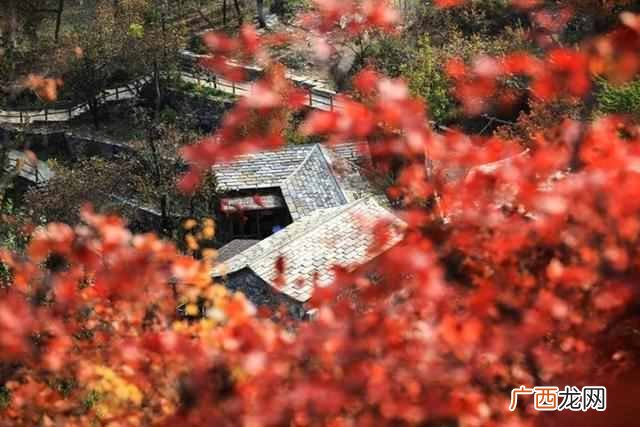 吃喝玩乐 北京坡峰岭一日游攻略