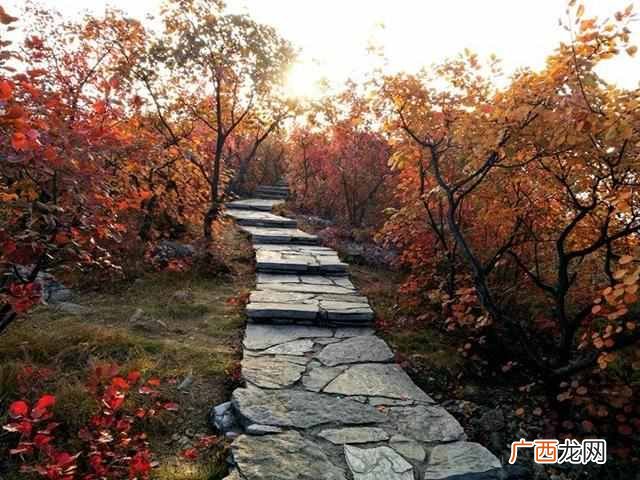 吃喝玩乐 北京坡峰岭一日游攻略