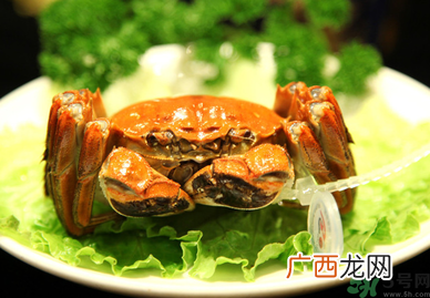 阳澄湖大闸哪个牌子好？阳澄湖大闸蟹哪个牌子是正宗的？