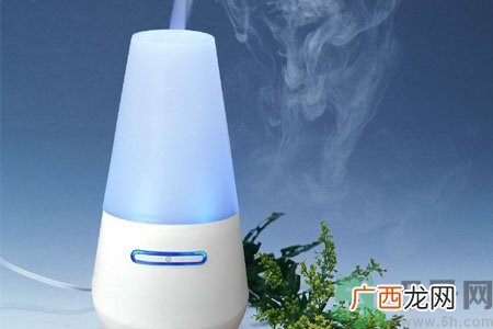 用加湿器好吗？用加湿器的好处和坏处是什么？