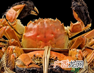 梁子湖大闸蟹什么时候上市?梁子湖大闸蟹上市时间