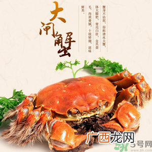 梁子湖大闸蟹什么时候上市?梁子湖大闸蟹上市时间
