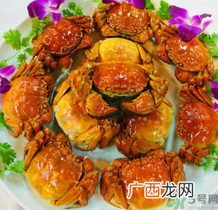 梁子湖大闸蟹什么时候上市?梁子湖大闸蟹上市时间