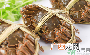 盘锦河蟹什么时候最好？盘锦河蟹什么时候最肥？