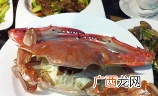 梭子蟹什么时候最肥?梭子蟹什么时候最好吃?