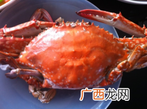 梭子蟹什么时候最肥?梭子蟹什么时候最好吃?