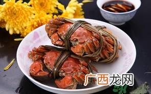 海蟹什么时候最肥?海蟹什么时候吃最好?