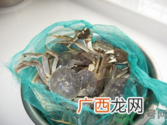 梭子蟹怎么保存？活的梭子蟹怎么保存？