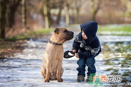 狗狗发烧了怎么办？狗狗发烧的症状有哪些？