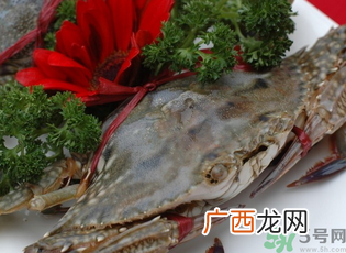 梭子蟹多少钱一斤？梭子蟹多少钱一只？