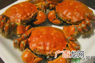 洪泽湖大闸蟹多少钱一斤？洪泽湖大闸蟹价格