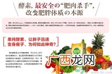 酵素什么时候吃最减肥？酵素减肥有用吗？