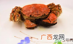 珍宝蟹和面包蟹的区别？珍宝蟹和面包蟹哪个好吃？
