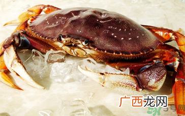 珍宝蟹多少钱一斤？珍宝蟹多少钱？