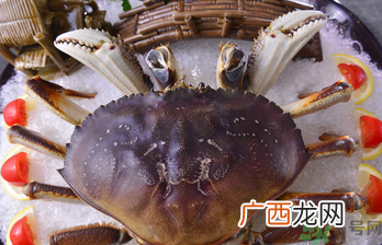 珍宝蟹多少钱一斤？珍宝蟹多少钱？
