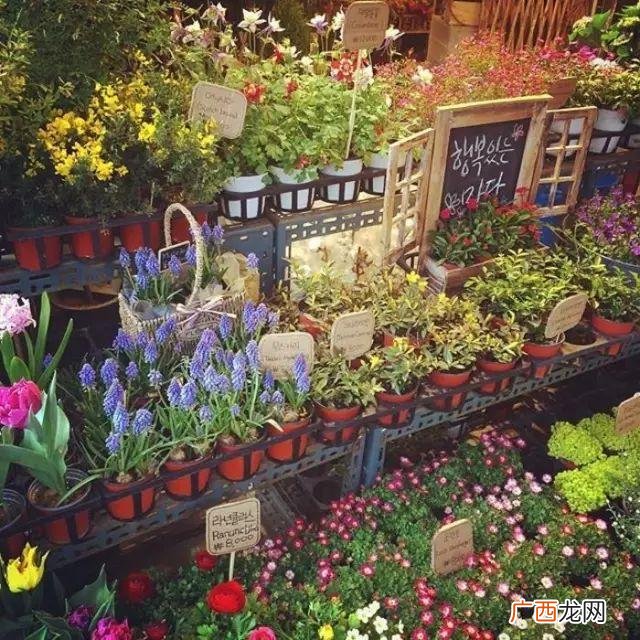 开花店需要营业执照吗 想开花店 应该先怎么做