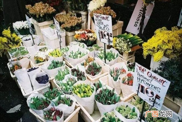 开花店需要营业执照吗 想开花店 应该先怎么做