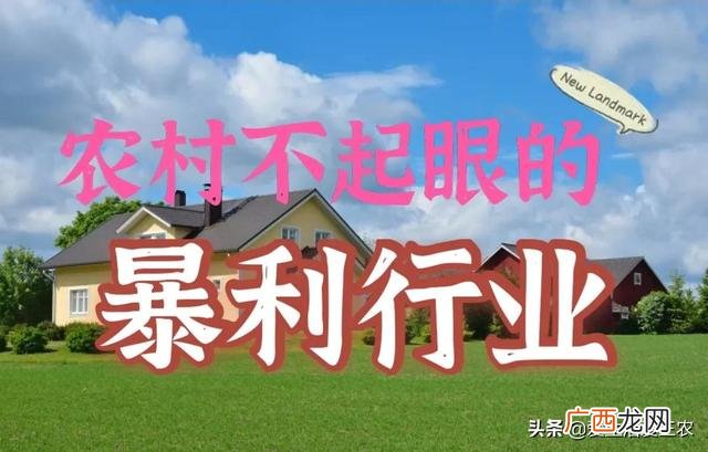农村创业点子致富经 农村创业项目大全