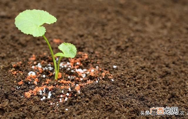 农村创业点子致富经 农村创业项目大全