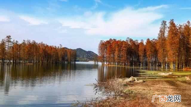最全宁波游玩攻略 宁波有什么好玩的地方