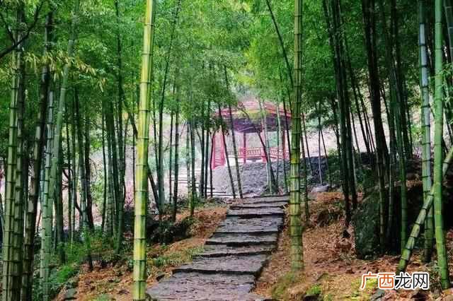 最全宁波游玩攻略 宁波有什么好玩的地方