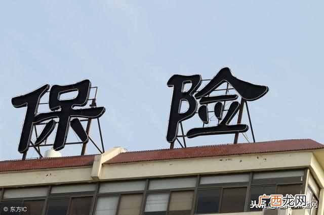 什么是定期寿险（定期寿险和终身寿险有什么区