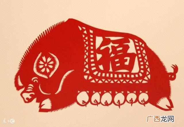 生肖运势分析 1995年属什么
