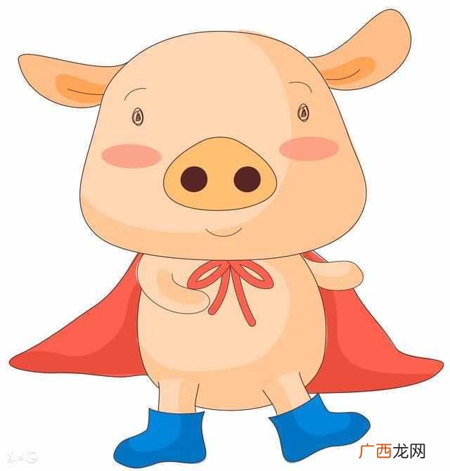 生肖运势分析 1995年属什么