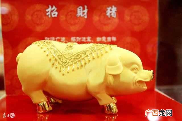 生肖运势分析 1995年属什么